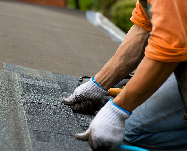 Best Shingle Roofing Installation  in Perryville, MD