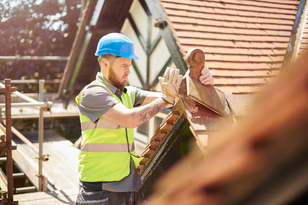 Best Roof Maintenance Services  in Perryville, MD