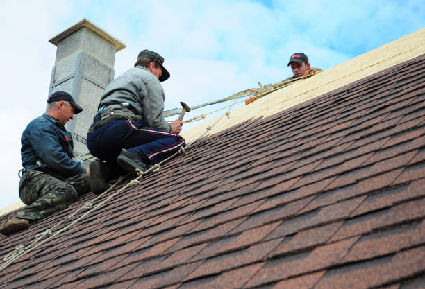 Best Residential Roof Replacement  in Perryville, MD